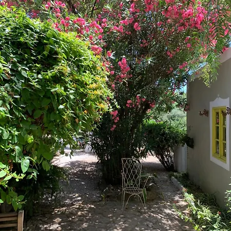 Casa Stardust & Villa Quelfes