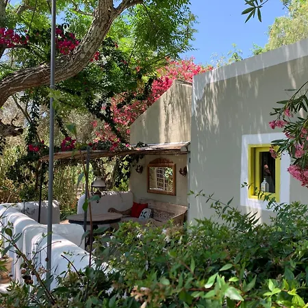 Casa Stardust & Villa