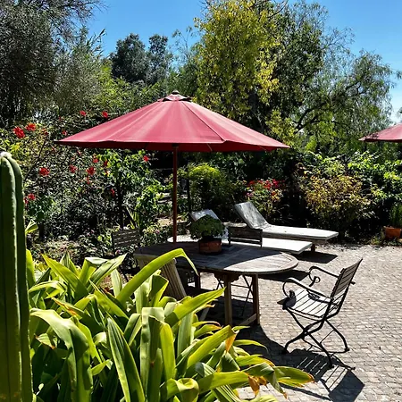 Casa Stardust & Quelfes