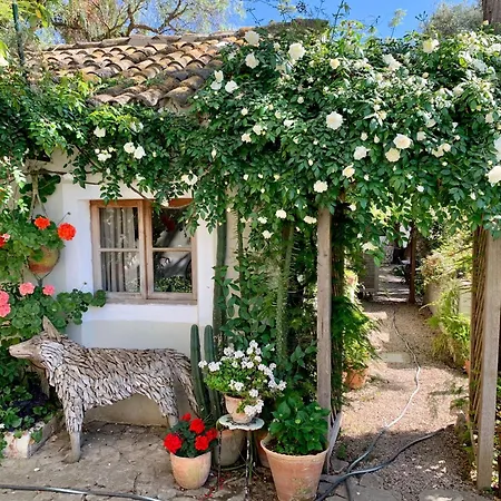 Casa Stardust & * Quelfes