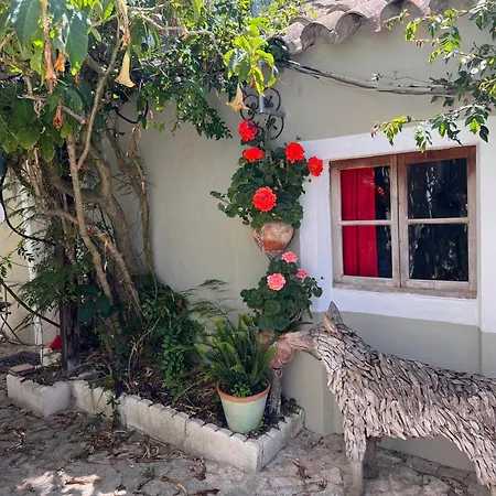 Casa Stardust & Villa *