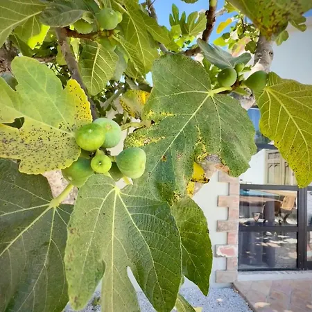 Casa Stardust & Vila Quelfes