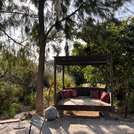 Casa Stardust & Quelfes