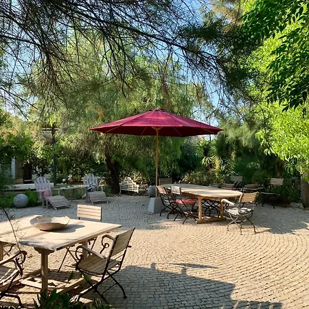 Casa Stardust & * Quelfes