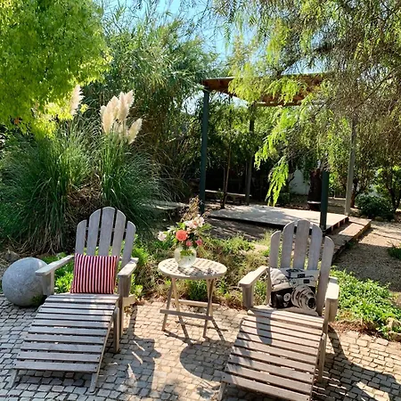 Casa Stardust & Villa *