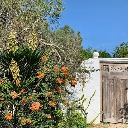 Casa Stardust & Villa *