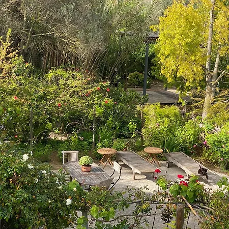 Casa Stardust & * Quelfes